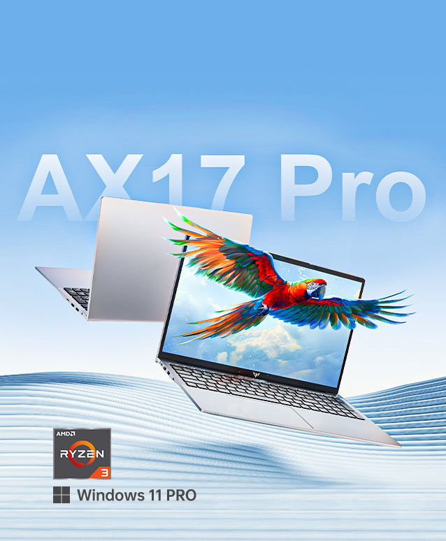 ACEMAGIC ‎AX17 Pro AMD Ryzen™ 3 4300U 17.3