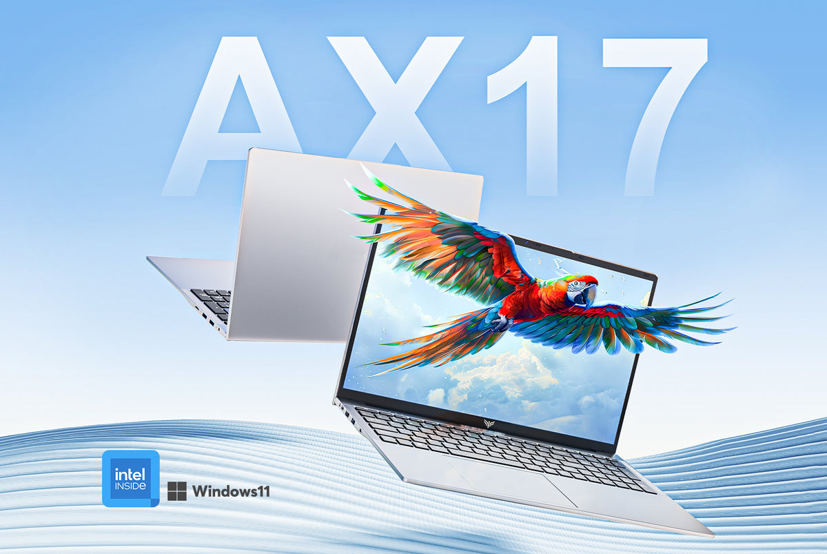 ACEMAGIC ‎AX17 Pro AMD Ryzen™ 3 4300U 17.3" Laptop